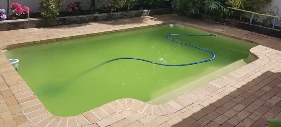 Before: pool with green, algae-filled water